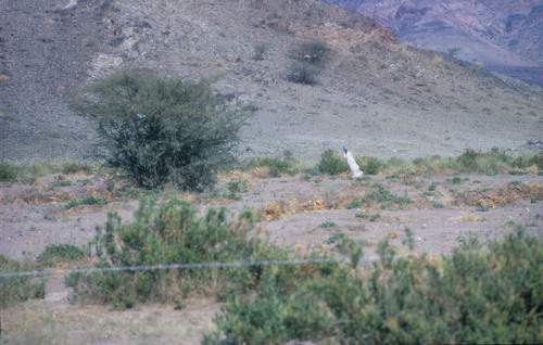 SA_12 - KM_0751