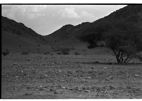 SA_09_25 - KM_3061
