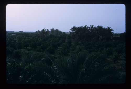 SA_05 - KM_4854