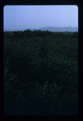 SA_05 - KM_4855