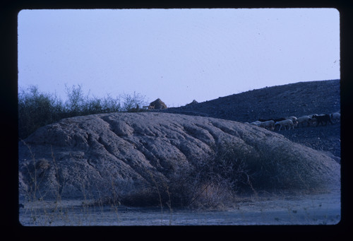 SA_04 - KM_4794