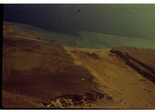 WF_217 - KM_5564