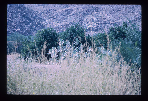 RY_08_04 - KM_1884