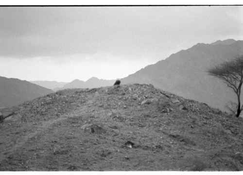 KW_71 - KM_8282