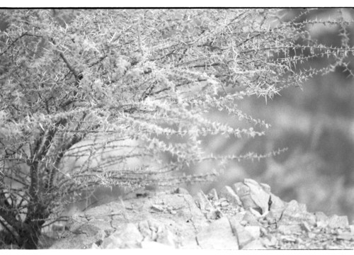 KW_71 - KM_8283