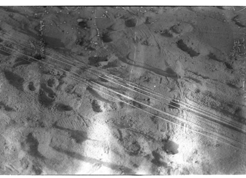 KW_71 - KM_8307