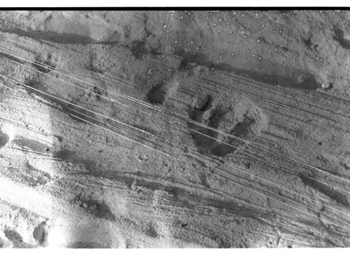 KW_71 - KM_8313