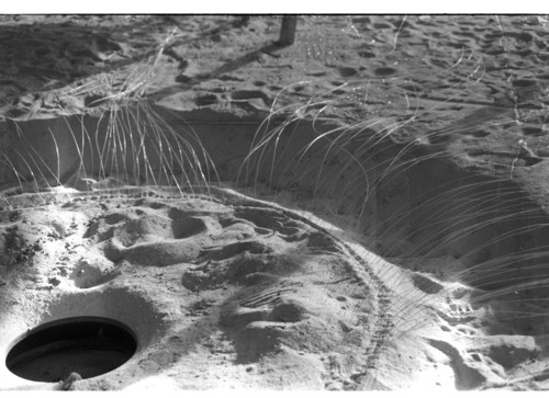 KW_71 - KM_8321