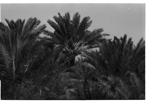 KW_71 - KM_8396