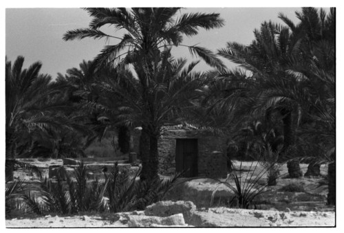 KW_71 - KM_8397