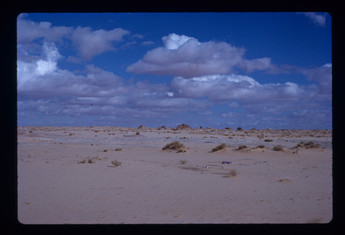 WF_15 - KM_0859