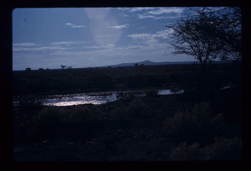 WF_15 - KM_0895