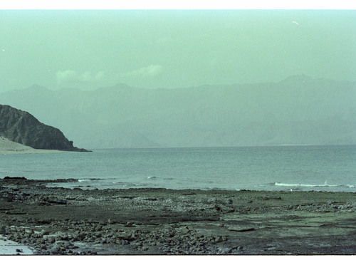 KF_67_04 - KM_8619