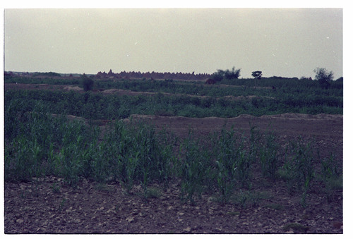JZ_19_04_02 - KM_5664