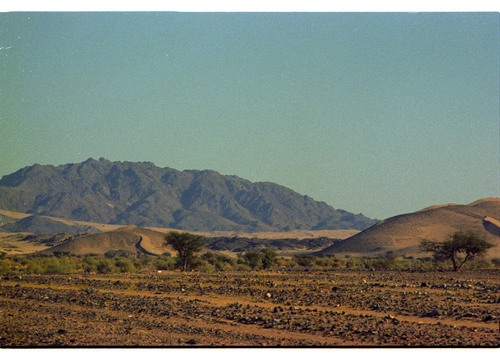 JD_08_21 - KM_0462