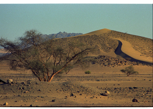 JD_08_21 - KM_0463
