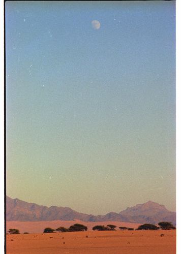 JD_08_20 - KM_0461