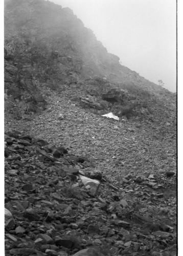 JD_03_07 - KM_0506