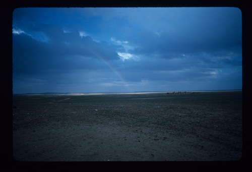 IR_59 - KM_4969