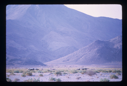 BS_08_08 - KM_1964