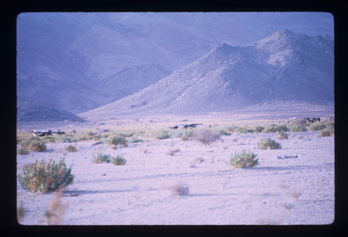 BS_08_08 - KM_1965