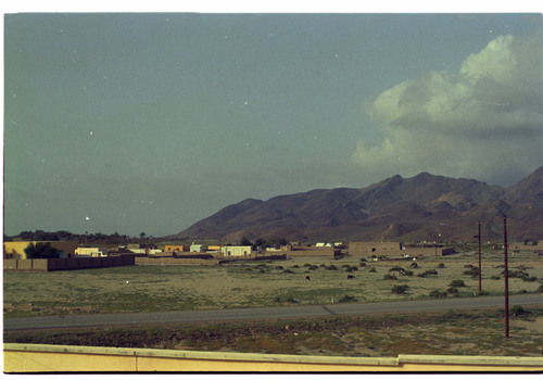 WF_14_21 - KM_0397