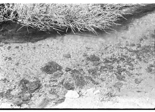WF_14_20 - KM_0332