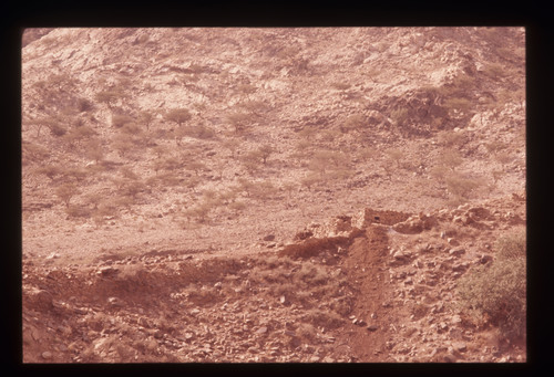 AS_17 - KM_4584
