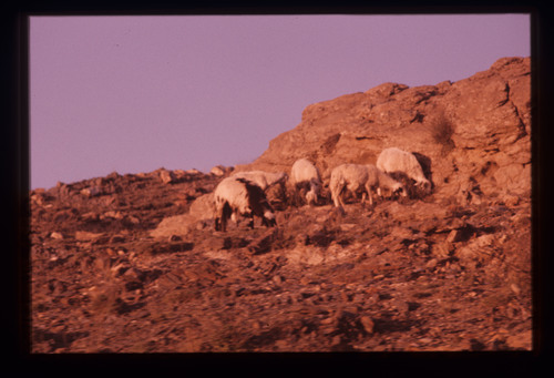 AS_17 - KM_4648