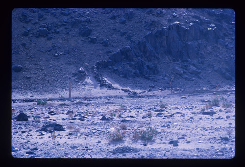 WF_TUR_08_07 - KM_1935