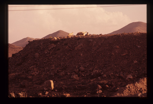 AS_17 - KM_4689