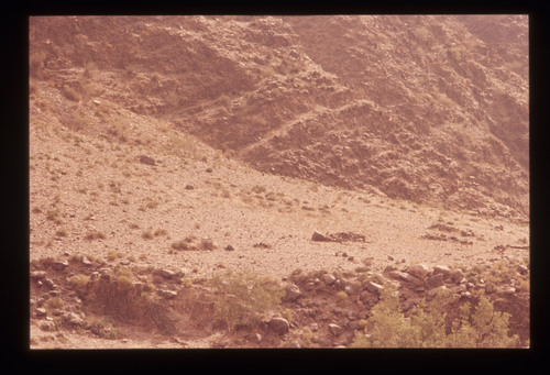 AS_16 - KM_3633