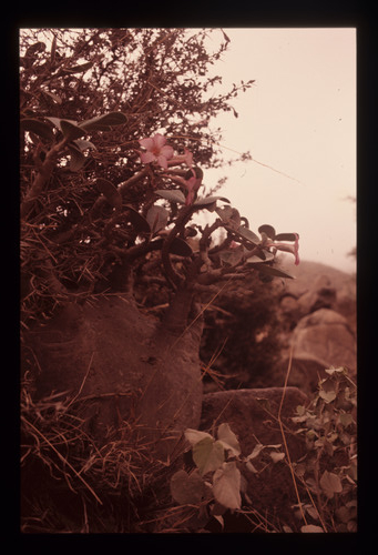 AS_16 - KM_3647