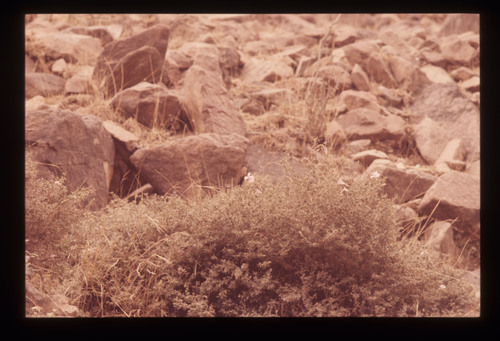 AS_16 - KM_3648