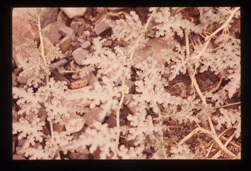 AS_16 - KM_3649