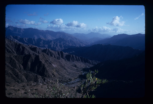 AS_16 - KM_3731