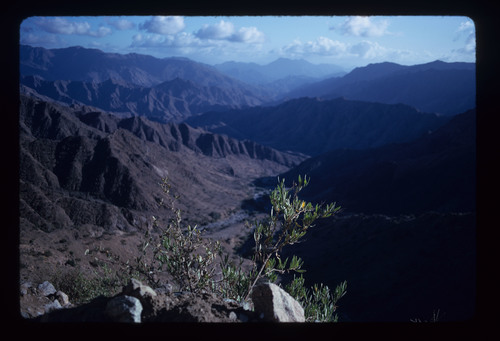 AS_16 - KM_3732
