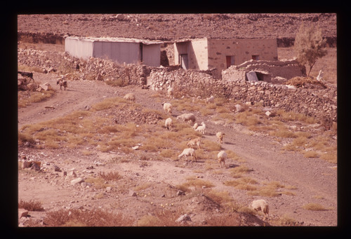 AS_16 - KM_3754