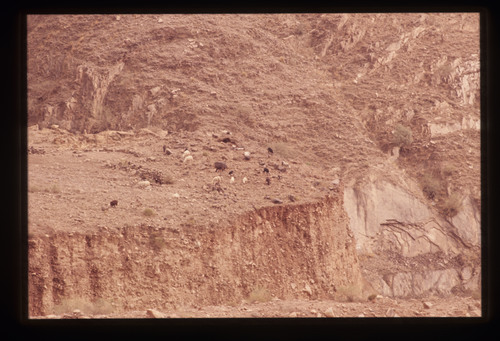 AS_54 - KM_6682