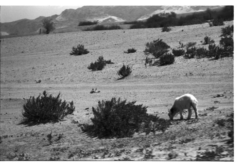 WF_14_10 - KM_6010