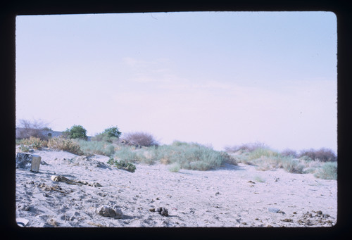 WF_08_10 - KM_2006