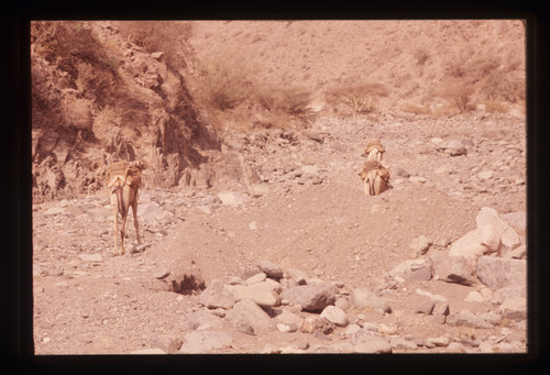 AS_18 - KM_3885