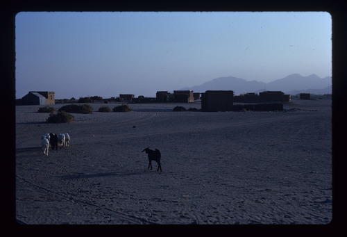 AS_18 - KM_3912