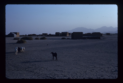 AS_18 - KM_3913