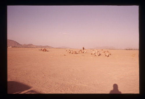 AS_18 - KM_3958