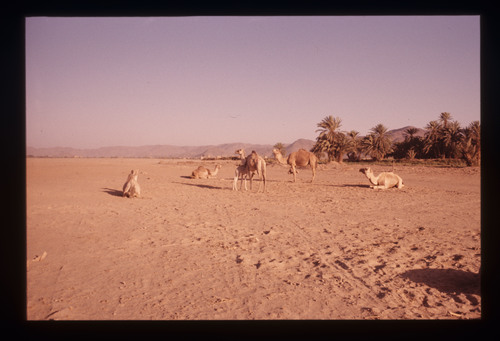 AS_18 - KM_3963