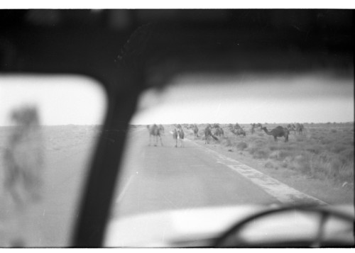 SA_09_19 - KM_2865