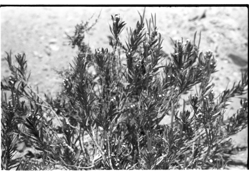 WF_14_07 - KM_5939