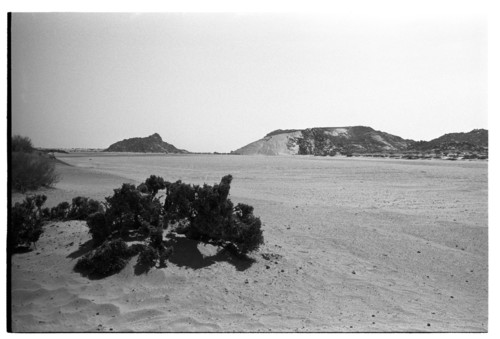 WF_14_06 - KM_5903