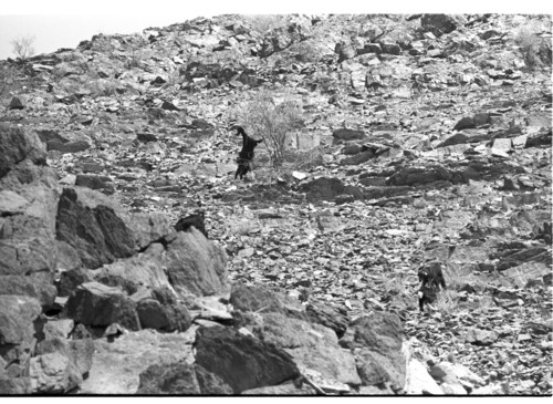 WF_14_05 - KM_5887